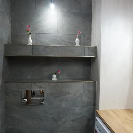 Apartament Nowe Hallerowo * Wladyslawowo
