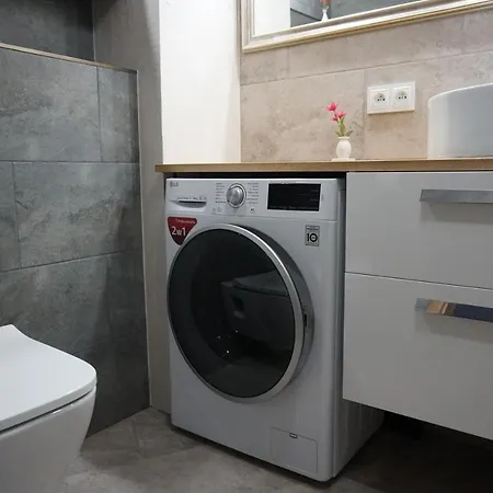 Apartament Nowe Hallerowo